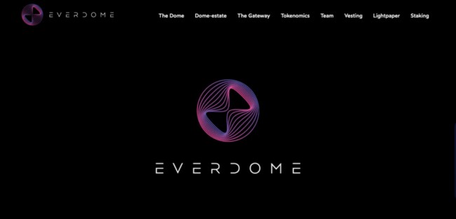 EverDomeの将来性